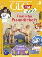 GEOmini